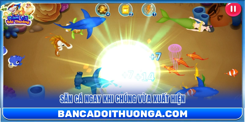 Bắn Cá Ăn Xu – Săn Cá Càng Nhiều Xu Về Càng Lớn