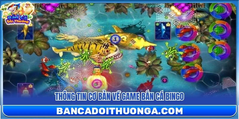 Bắn Cá Bingo – Săn Cá Kích Hoạt Bingo Nhận Thưởng Lớn
