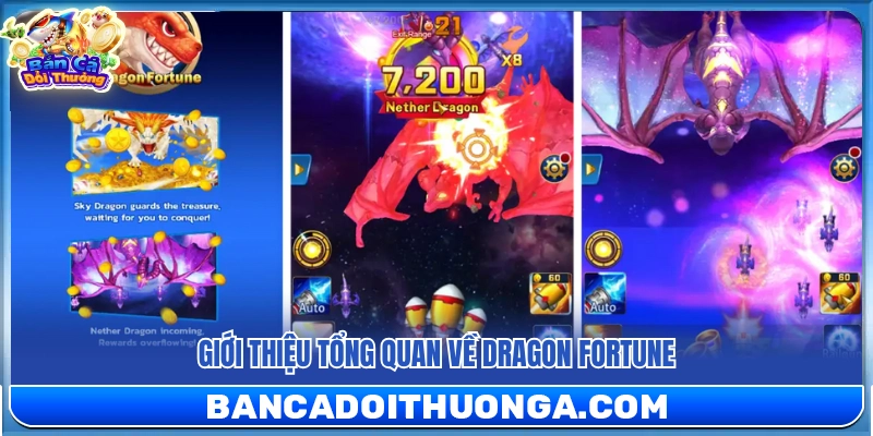Dragon Fortune – Đồ Họa Rồng Uy Lực Hệ Thống Thưởng Khủng
