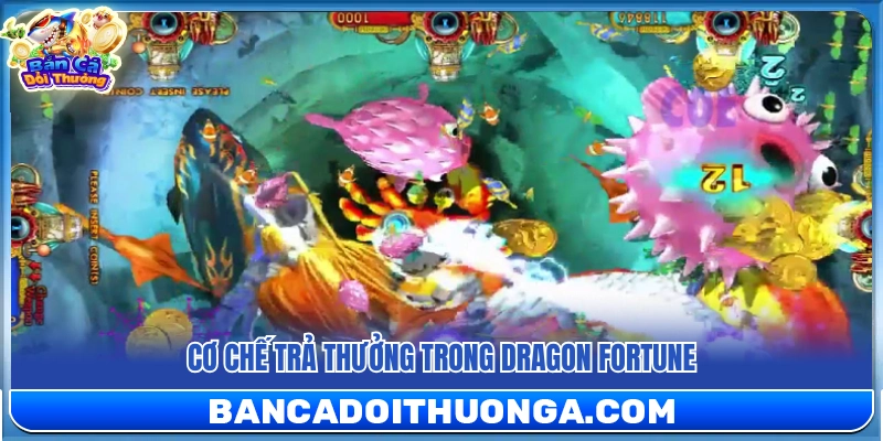 Dragon Fortune – Đồ Họa Rồng Uy Lực Hệ Thống Thưởng Khủng