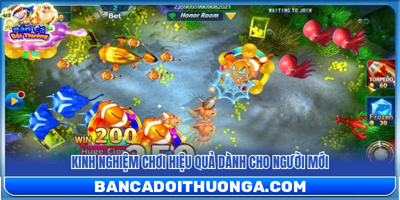 Happy Fishing – Đồ Họa Hoạt Hình Giải Trí Mỗi Ngày