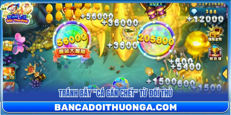 Kiếm Tiền Từ Game Bắn Cá – Tips Chơi Hay Cho Người Mới