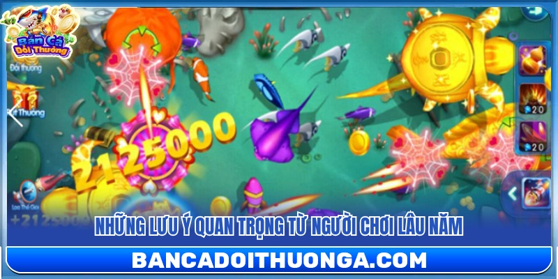 5+ Kinh Nghiệm Bắn Cá Đổi Thưởng Từ Người Chơi Lâu Năm