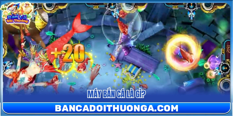 Máy Bắn Cá Là Gì? Cách Hoạt Động Và Nguyên Lý Tính Thưởng
