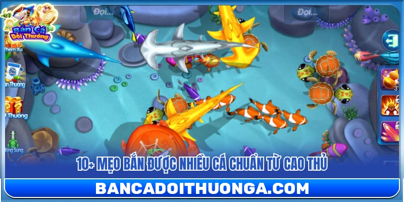 10+ Mẹo Bắn Được Nhiều Cá Chuẩn Cao Thủ Ít Tốn Đạn