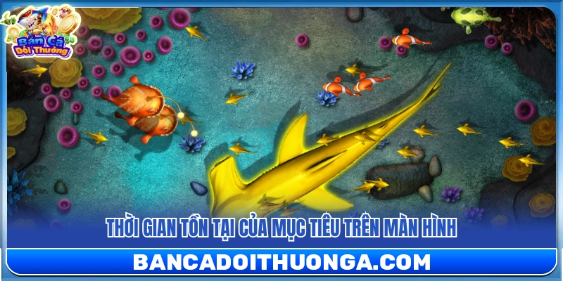 4+ Mẹo Chơi Bắn Cá Siêu Thị Giúp Săn Thưởng Hiệu Quả