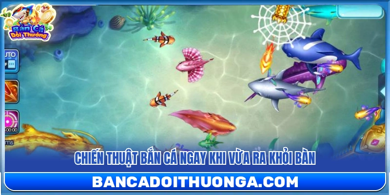 4+ Mẹo Chơi Bắn Cá Siêu Thị Giúp Săn Thưởng Hiệu Quả
